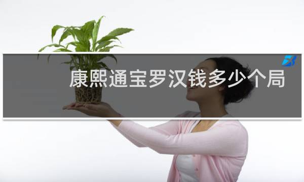 康熙通宝罗汉钱多少个局