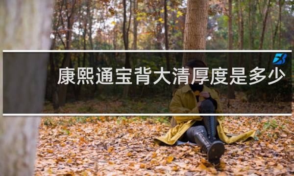 康熙通宝背大清厚度是多少