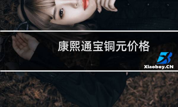 康熙通宝铜元价格