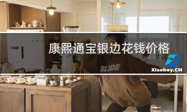 康熙通宝银边花钱价格