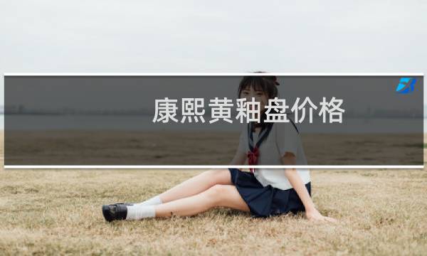 康熙黄釉盘价格