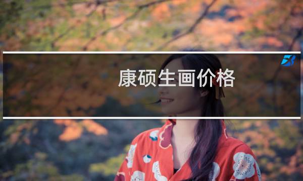 康硕生画价格