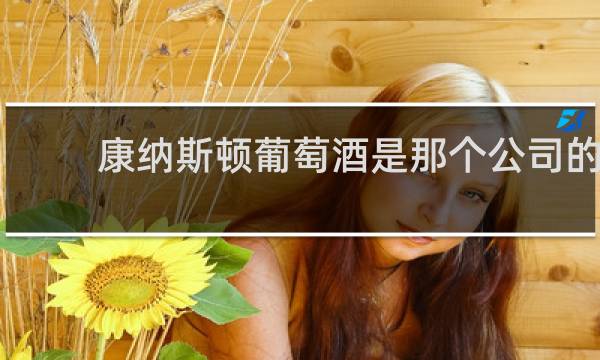康纳斯顿葡萄酒是那个公司的