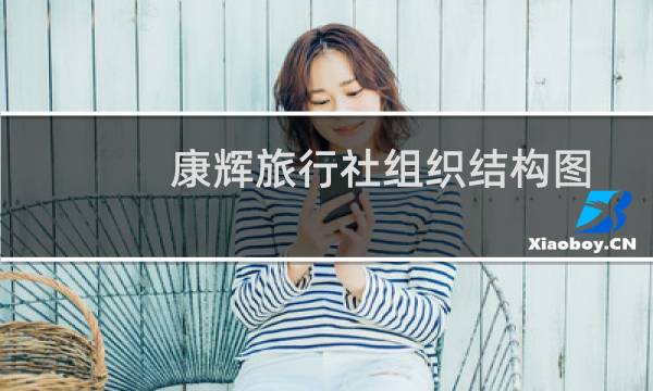康辉旅行社组织结构图