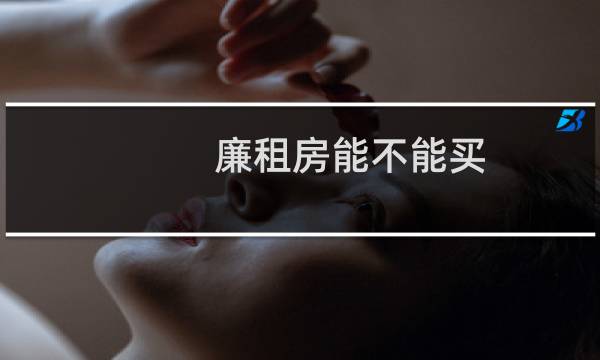 廉租房能不能买