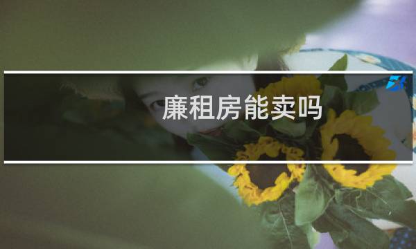 廉租房能卖吗