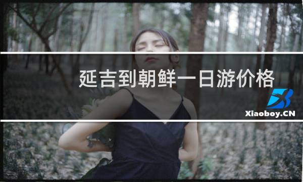 延吉到朝鲜一日游价格