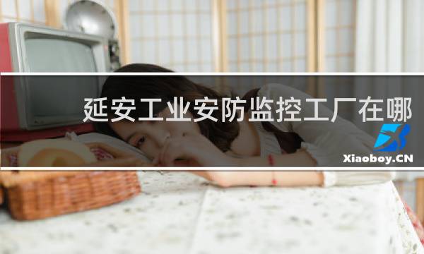 延安工业安防监控工厂在哪
