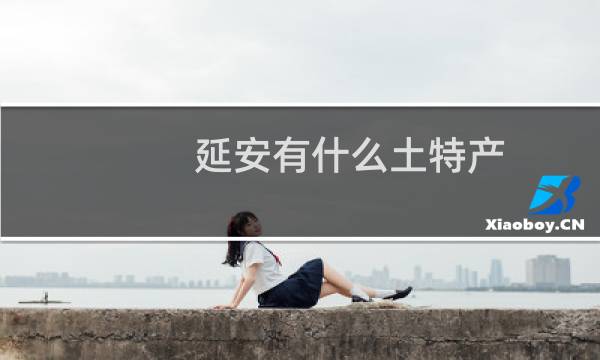 延安有什么土特产