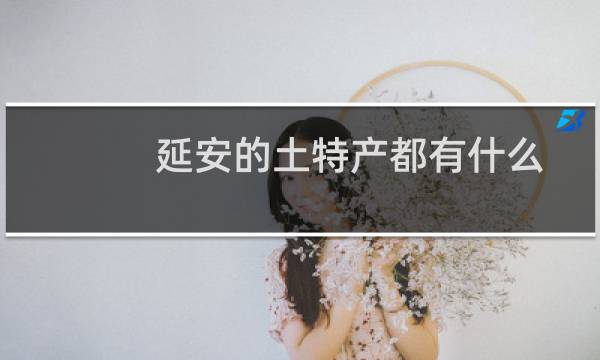延安的土特产都有什么