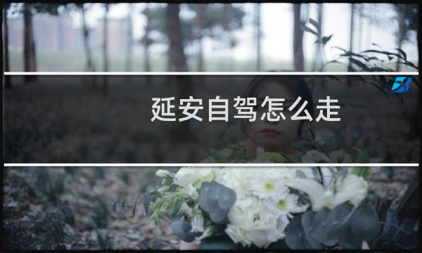 延安自驾怎么走