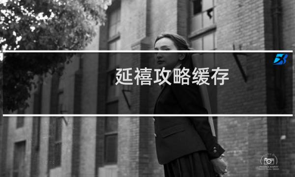 延禧攻略缓存