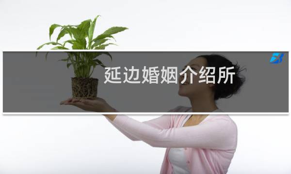 延边婚姻介绍所