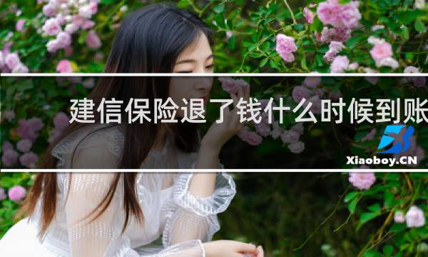 建信保险退了钱什么时候到账