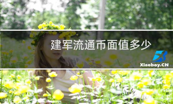 建军流通币面值多少