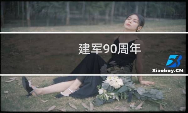 建军90周年 多少枚