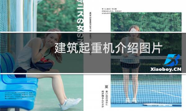 建筑起重机介绍图片