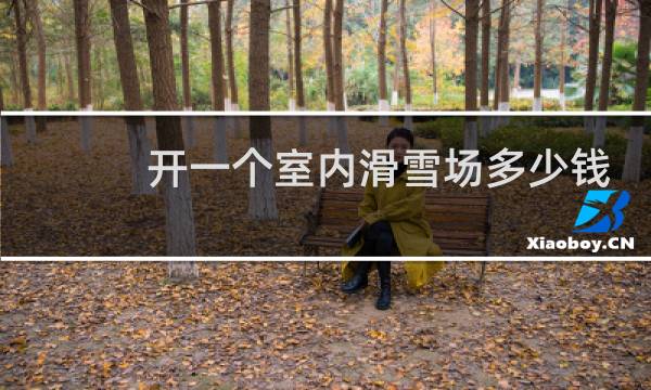 开一个室内滑雪场多少钱