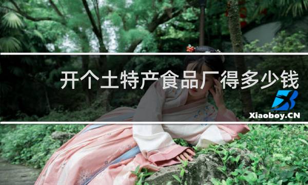 开个土特产食品厂得多少钱