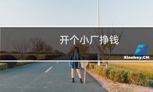 开个小厂挣钱