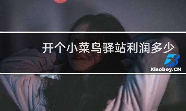 开个小菜鸟驿站利润多少