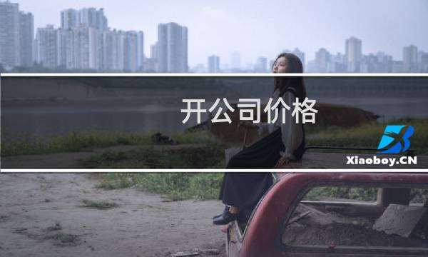 开公司价格