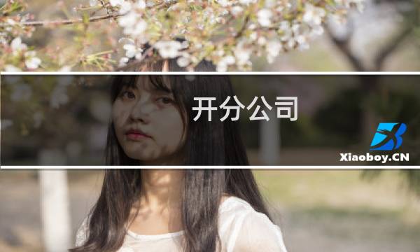 开分公司