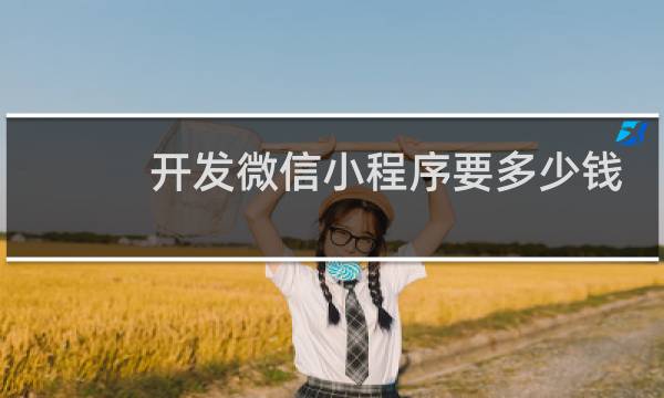 开发微信小程序要多少钱