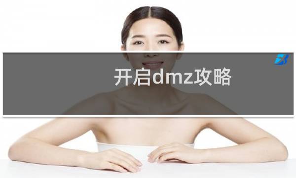 开启dmz攻略