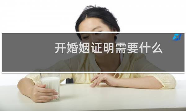 开婚姻证明需要什么