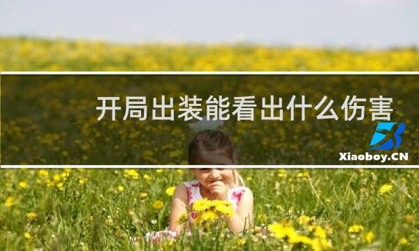 开局出装能看出什么伤害