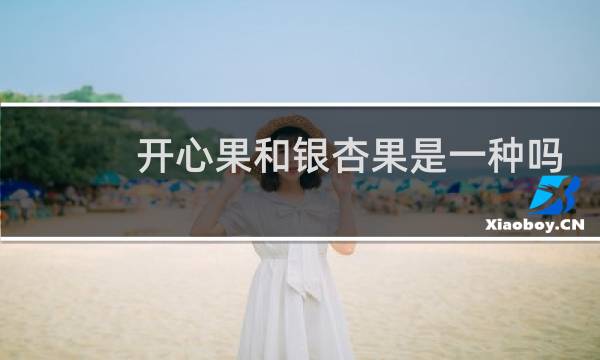 开心果和银杏果是一种吗