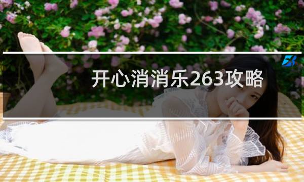 开心消消乐263攻略