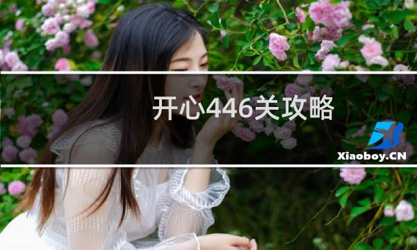 开心446关攻略