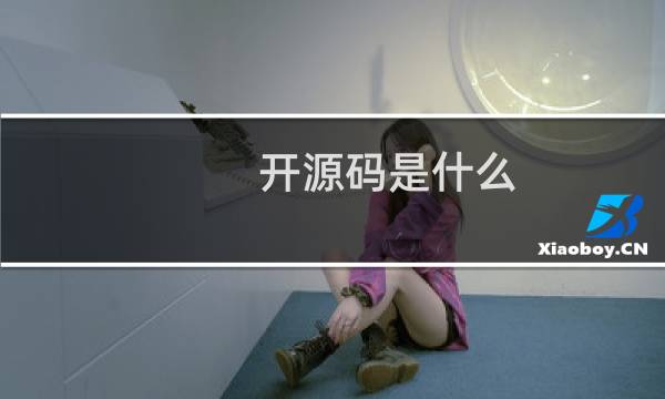 开源码是什么
