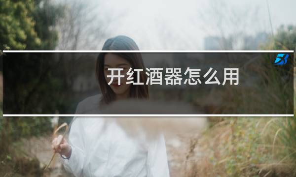 开红酒器怎么用
