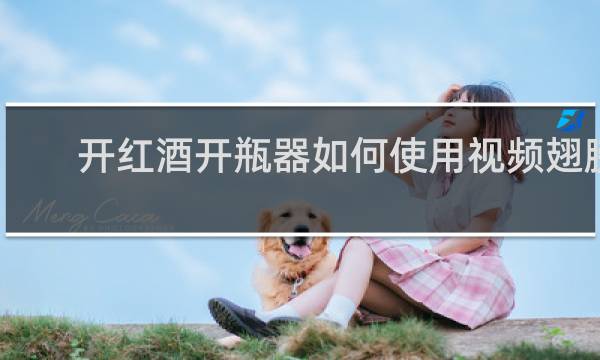 开红酒开瓶器如何使用视频翅膀
