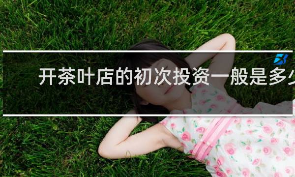 开茶叶店的初次投资一般是多少