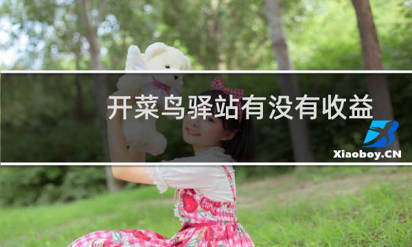 开菜鸟驿站有没有收益