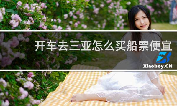 开车去三亚怎么买船票便宜