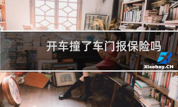 开车撞了车门报保险吗