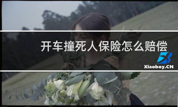 开车撞死人保险怎么赔偿