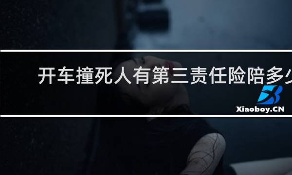 开车撞死人有第三责任险陪多少