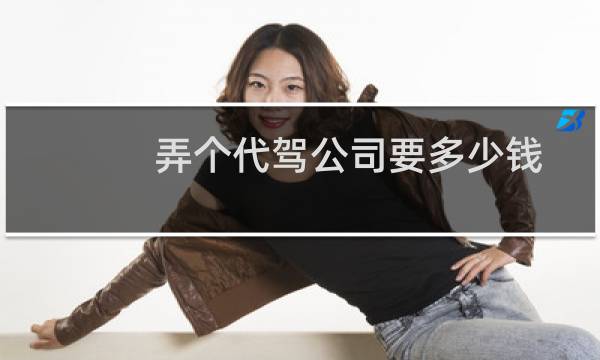 弄个代驾公司要多少钱
