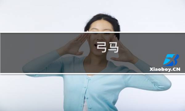 弓马 攻略