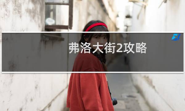 弗洛大街2攻略