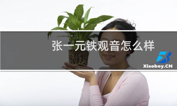 张一元铁观音怎么样