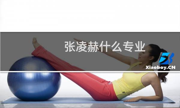 张凌赫什么专业