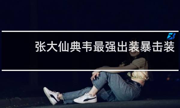 张大仙典韦最强出装暴击装