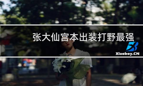 张大仙宫本出装打野最强